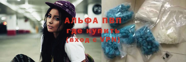 индика Сосновка